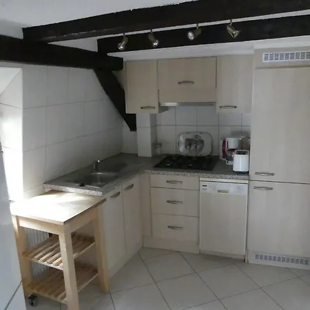 Daire Chaleureux Colmar