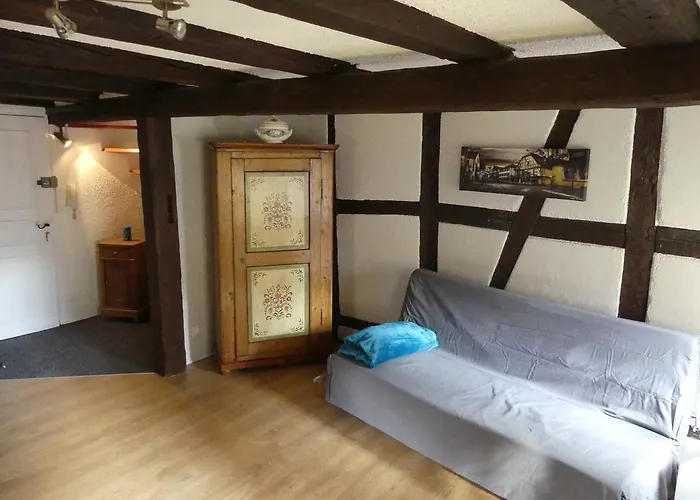 Apartament Chaleureux Colmar