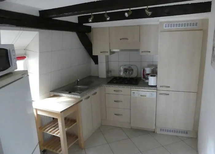 Apartament Chaleureux Colmar