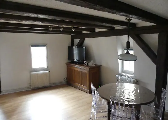 Chaleureux Apartament Colmar