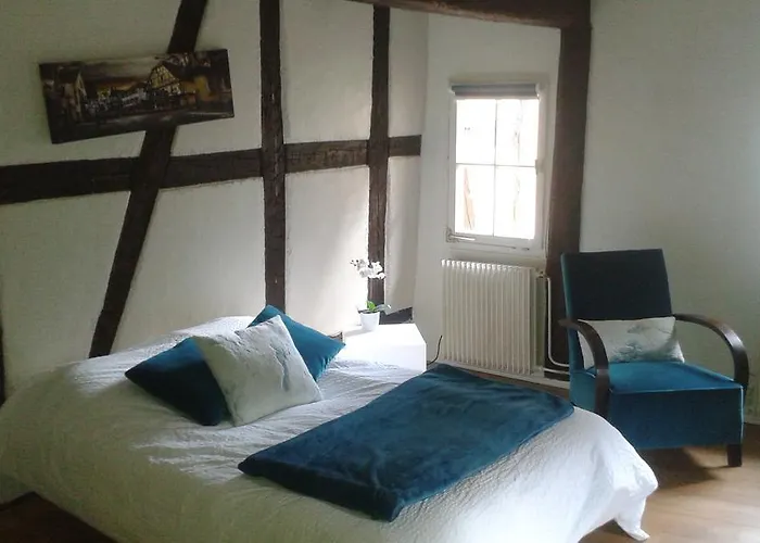 Apartament Chaleureux *